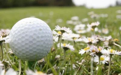 VOW Golf Day Raises Over £2k for evo Foundation