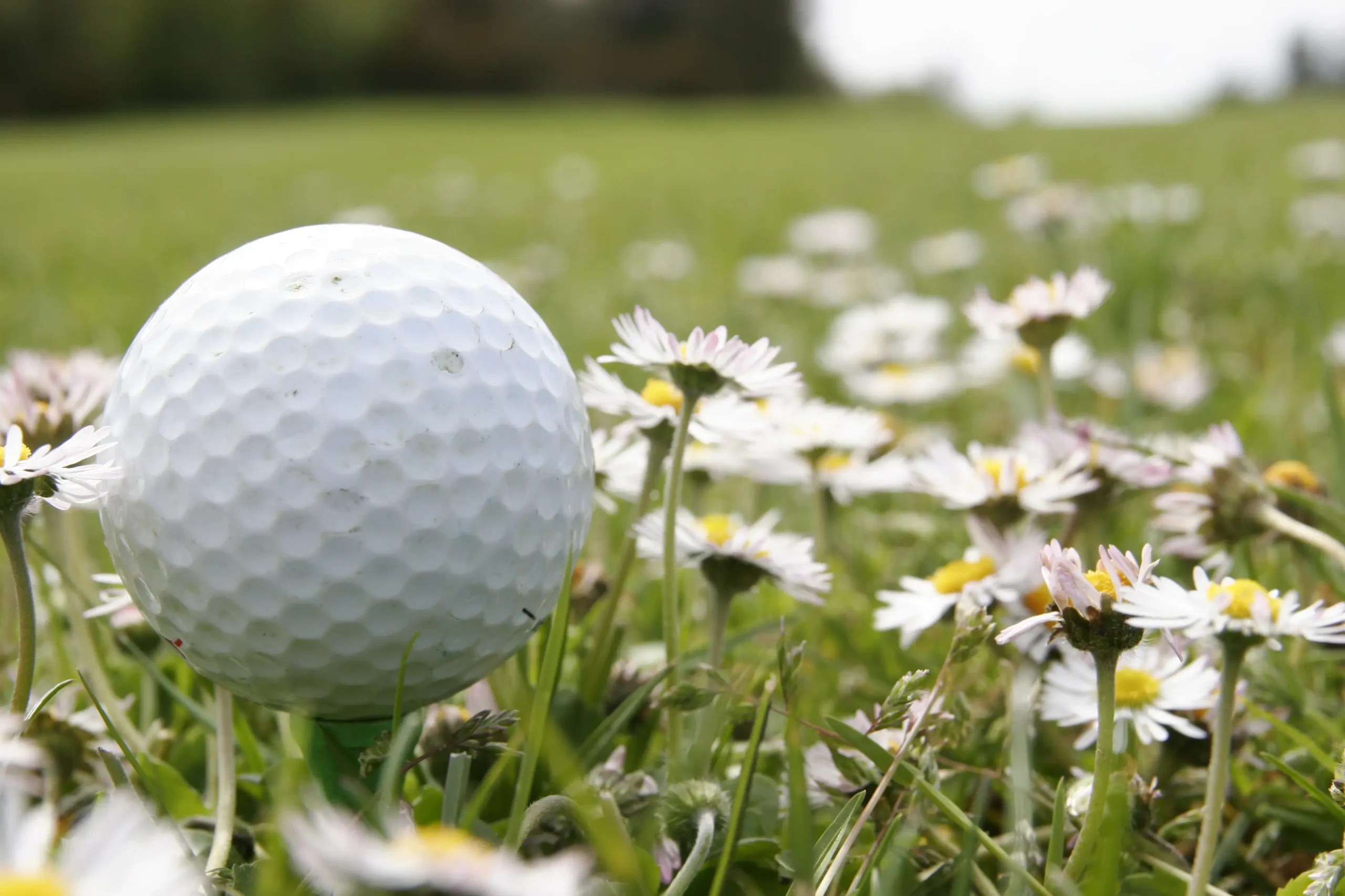 VOW Golf Day Raises Over £2k for evo Foundation
